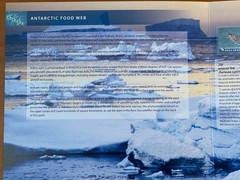 ROSS DEP. 2013 Antarctic Food Web, Presentation Pack