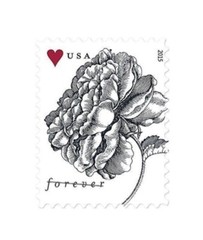 40 FOREVER Stamps Wedding VINTAGE ROSE INVITATIONS