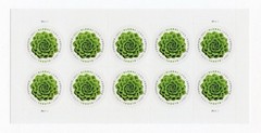 USPS SHEET OF 10 STAMPS GREEN SUCCULENT AUTHENTIC GLOBAL FOREVER FIRSTCLASS MAIL