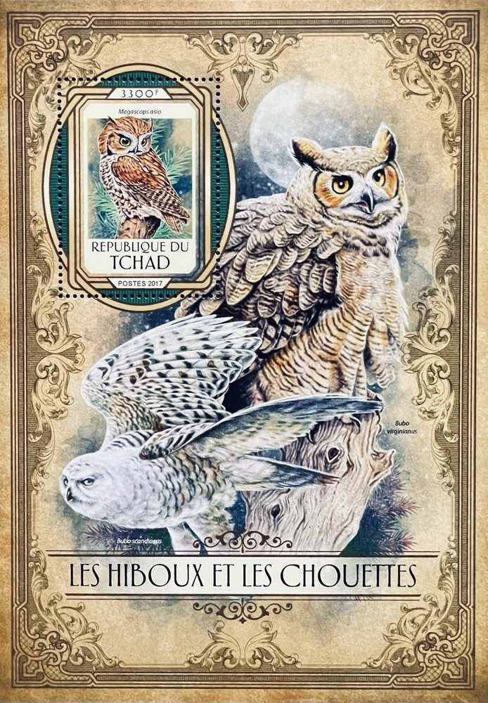 CHAD OWLS STAMP SHEET MNH 2017 BIRDS SNOWY OWL GREAT HORNED OWL WILDLIFE BIRD
