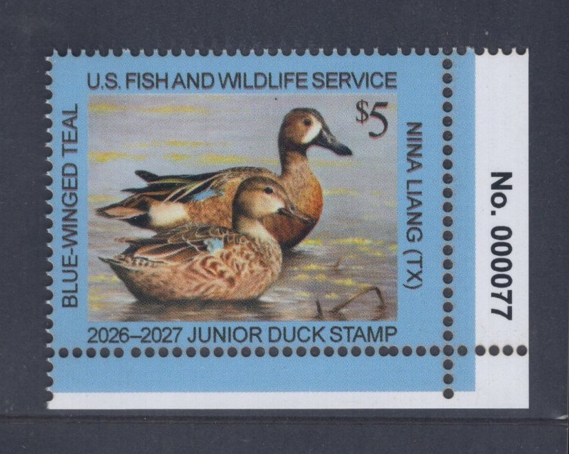 JDS34 – Junior Duck Stamp. Plate Numbered Single #02 JDS34PNSBR