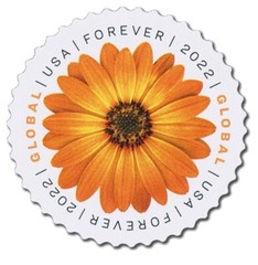 USA 2022 Stamps Global Forever African Daisy Sheet of 10 x $1.70 = $17.00