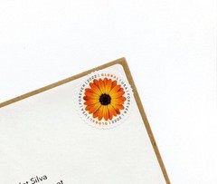 Global African Daisy Scott#5680 – 100pc US Forever M/NH International Pane