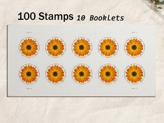 Global African Daisy Scott#5680 – 100pc US Forever M/NH International Pane