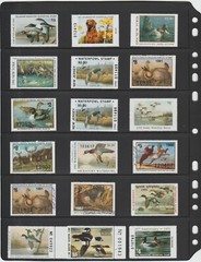 ANCHOR 100 New Stock Pages 6S (6-Rows) Stock Sheets/ Black sheets /FREE SHIPPING
