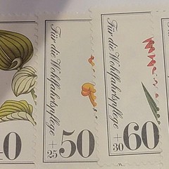 Germany Semi-Postal Stamps Berlin 1981 MNH 9NB182-185 & 186 40+20 Multi-Color