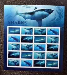 2017 USPS SHEET OF 100 FIRST CLASS LETTER STAMPS SHARKS