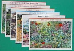 Complete Set of 12 NATURE OF AMERICA Sheets US Postage Stamps USA Sc 3293 – 4474