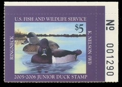 JDS13 2005 Federal Junior Duck Stamp Mint Never Hinged. Original Gum