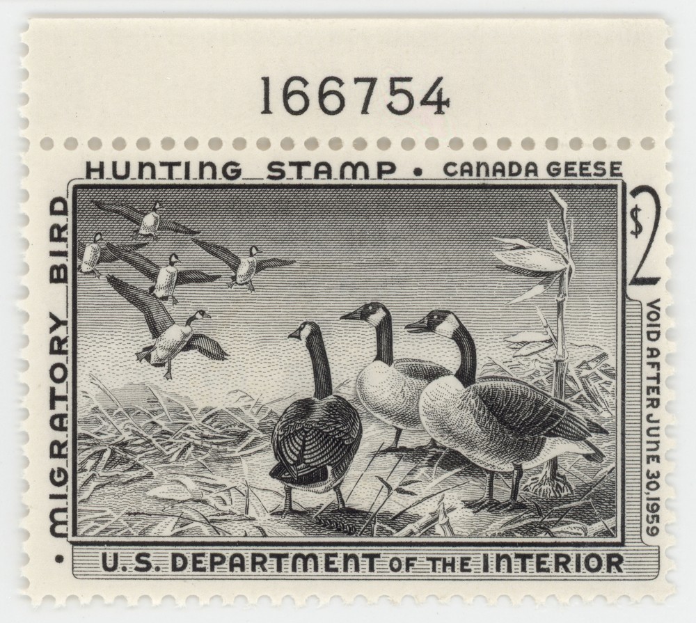 US Scott #RW25 | Mint NH | VF Very Fine