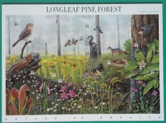 Complete Set of 12 NATURE OF AMERICA Sheets US Postage Stamps USA Sc 3293 – 4474