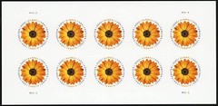 USA 2022 Stamps Global Forever African Daisy Sheet of 10 x $1.70 = $17.00