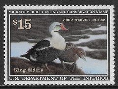 U.S. SCOTT RW58 MNH VF – 1991 $15 MULTI-COLOR FEDERAL DUCK STAMP