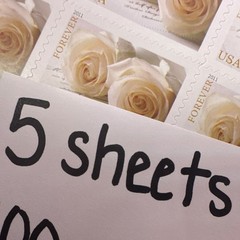 5 Sheets of 20 USPS Forever Stamps Wedding White Roses Brand new 100 Stamps