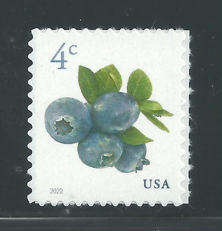 US Scott # 5652 Blueberries Mint NH Single from Pane 2022