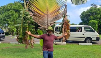 Multiple sites ( Combo Tours)