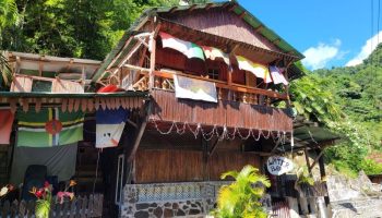 City & Rainforest plus gorge swim