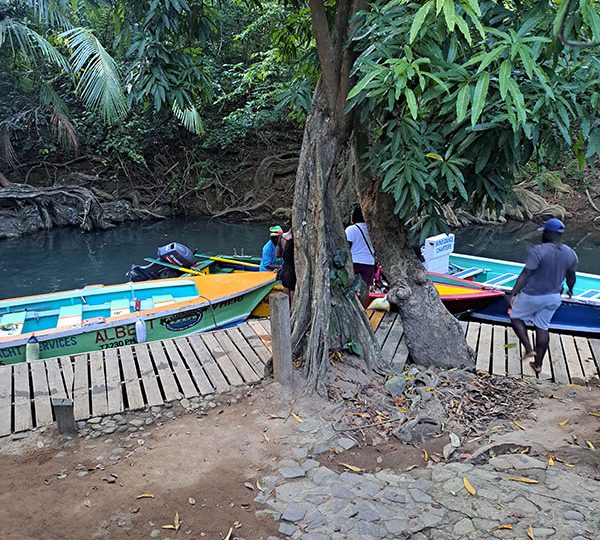 Dominica Excursions & Tours