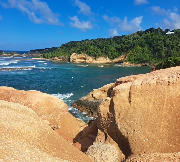 Dominica island tours