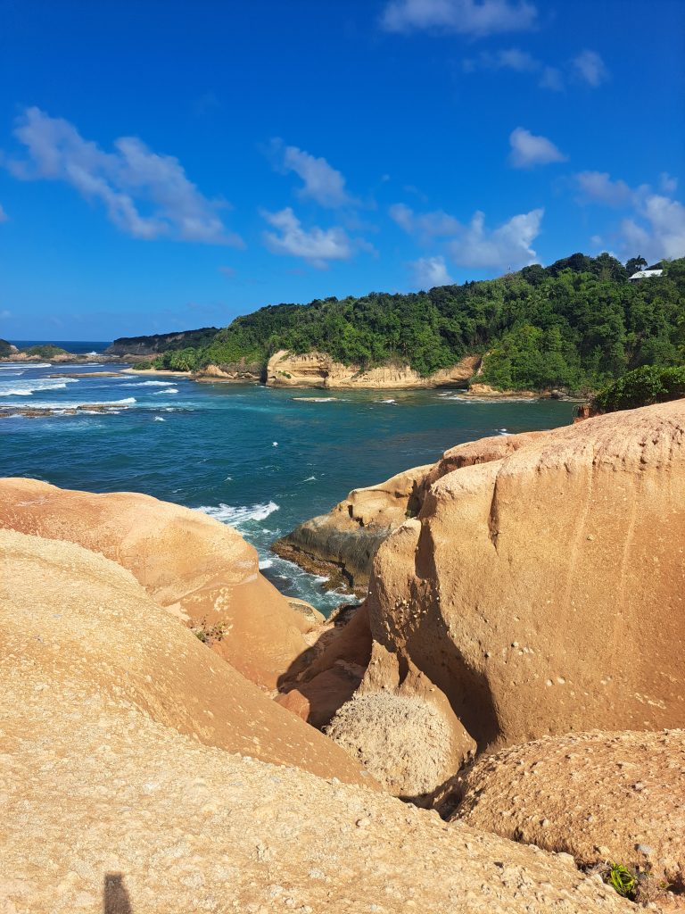 Dominica island tours