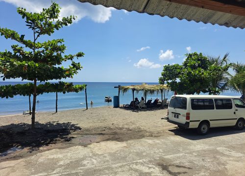 Best Dominica Private Tours with Majestic Taxi and Tours