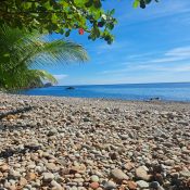 Things to Do in Dominica