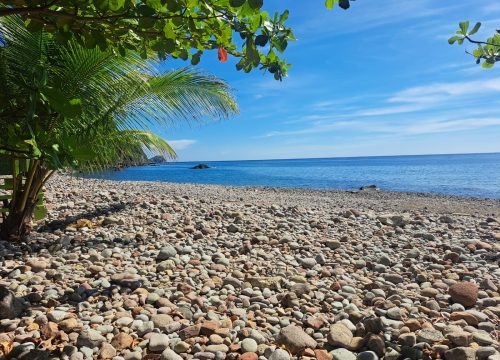 Top 10 Things to Do in Dominica for First-Time Visitors