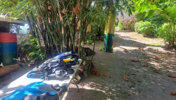 Most popular ( Recommended)