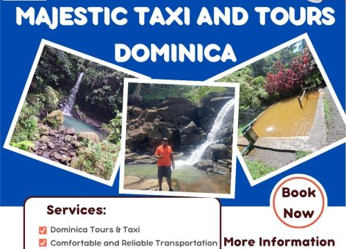 Dominica Island Tours: Hidden Gems, Activities & Travel Tips